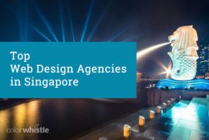 新加坡顶尖的网页设计和开发公司