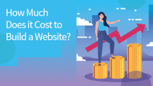 建一个网站要花多少钱?