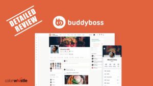 BuddyBoss平台-详细回顾