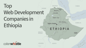 埃塞俄比亚的顶级网页设计和开发公司