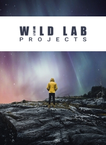 Wild-lab-projects-colorwhistle