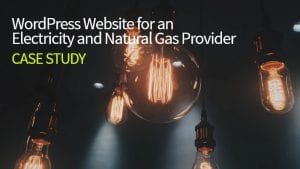 电力和天然气案例研究的WordPress网站