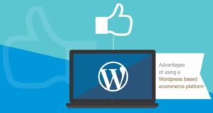选择WordPress作为电子商务网站的优势