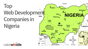 尼日利亚顶级网站设计和开发公司